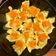 Cooksnap dari Silvyval untuk resep Pork Siomay