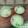 Cooksnap dari Ledis Manullang untuk resep Buko Pandan with Creamy Fla