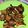 รูป Cooksnap ของ Ploypailin Tongmatra เมื่อเขาทำ ซี่โครงหมูอบน้ำผึ้ง