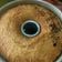 Cooksnap dari Rosmawati Mally untuk resep Cara membuat brudel Manado