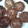 El cooksnap de lola cuando hizo Alfajores Oreo caseras bañadas en chocolate.