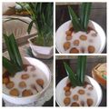 Cooksnap dari Wafiroh Syarif untuk resep Bubur Candil Ubi Kuning / Kolak Biji Salak