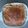 wayde's cooksnap of when they made Rustic Shepard's Pie.