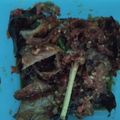Cooksnap dari Diah Parahita untuk resep Ikan Asin (kapas) Crispy Balado