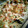El cooksnap de Celia Laguna cuando hizo Brócoli y coliflor con bechamel, huevo y pavo.