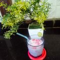 Ankita shrivastav का कुकस्नैप जब उन्होंने मोहब्बत ए शरबत (mohabbat e sharbat recipe in Hindi) बनाया था।