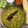 Alka Bhandari's cooksnap of when they made Double tadka lahsuni Palak khichdi.