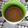 Abhilasha Akhouri का कुकस्नैप जब उन्होंने अदरक वाली चाय(adrak wali chai recipe in hindi) बनाया था।