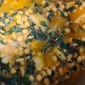 El cooksnap de José Miguel Lozano cuando hizo Potaje de garbanzos con espinacas y bacalao(Vigilia).