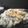 Swati Bharadwaj's cooksnap of when they made Risotto (Chicken, Bacon & Mushroom).