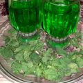 Hina Ibrahim's cooksnap of when they made Mint lemonade #EidMeetup.