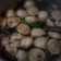 Cooksnap dari dannyatdi untuk resep Bakso kuah model