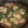 Cooksnap dari Ratih Anita Dewi untuk resep AYAM PEDAS Kemangi