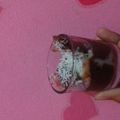 Cooksnap dari Icha untuk resep Puding Susu Vla cokelat topping Keju