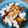 La cooksnap de Jonathan Garcia cuando cocinó Ensalada templada de salmón y queso cottage