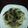 รูป Cooksnap ของ สมหมาย ชายทะเล เมื่อเขาทำ ยำปู้ม้า