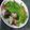 莊美琴 的 甜兒圓圓(草菇) cooksnap