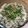 El cooksnap de Alicia Yunis cuando hizo Mujadara o Mujaddara: Lentejas y arroz con cebolla crocante.