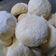 Cooksnap dari tata untuk resep Putri Salju Keju