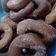 El cooksnap de Caro Perillo cuando hizo Buñuelos rellenos con dulce de leche.