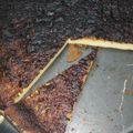El cooksnap de Vuelalondra cuando hizo Tarta Nosé.
