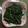 小汶醬 的 清炒地瓜葉 cooksnap