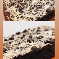 Cooksnap dari Anggun Wiga Anharisno untuk resep Brownies Happycall a la @DapurBubu
