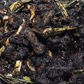 Cooksnap Dapur Yusfarisyia semasa beliau membuat 🥩Daging Masak Kicap.