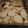 El cooksnap de Sabrina cuando hizo Galletitas de limón o de vainilla (opcional).