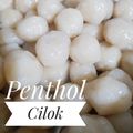 Cooksnap dari wina tantri 🍀 untuk resep Pentol Cilok
