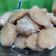 Cooksnap dari Ery Widyastuti untuk resep Kue Getas empuk anti gagal