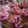 Cooksnap dari yasinka untuk resep Cup cake vanila
