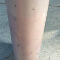 Cooksnap dari Noni untuk resep Blueberry Yogurt (BreadMaker)