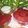 Cooksnap dari chandatawa untuk resep Oreo Red Velvet (Supreme)