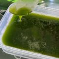 Cooksnap dari Nofa R Fauziah untuk resep Cincau hijau