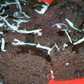 Cooksnap dari Bunda Vivie untuk resep Brownis kukus si comel