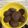 El cooksnap de Stephanie Miranda cuando hizo Galletas de chocolate con chips SIN MANTECA.