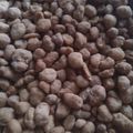 Cooksnap dari Nindy Nurapriani untuk resep Kacang Telur