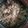 Subhashree Ramkumar 's cooksnap of when they made ராகி சேமியா (Raagi semiya recipe in tamil).