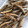 El cooksnap de Elena cuando hizo Boquerones fritos con patatas aliñadas.