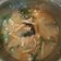 Cooksnap dari Novi Usmania untuk resep Sayur Lodeh Tewel Terong Kacang Panjang