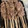 Cooksnap dari Heni Absari untuk resep Sate Sapi Bumbu Kecap