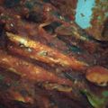 Cooksnap dari Cii Nouna Galakk untuk resep Pindang sarden