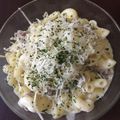 Cooksnap dari novi guritno untuk resep Mac n Cheese Ekonomis