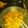 AceMcBubblesIII's cooksnap of when they made Tomatoe mung bean sprouts soup 番茄豆芽汤.