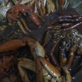 Cooksnap dari ananda metya untuk resep Rajungan Saus Tiram
