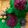 Deepa Rupani's cooksnap of when they made Gooseberry(Amla) and Beetroot mouth freshner.
