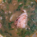 El cooksnap de ofelia camacho cuando hizo Carne en su jugo. Fácil.