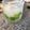 El cooksnap de lexcapp cuando hizo Mojito.