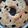 Cooksnap dari Revani Lukman untuk resep Chiffon Cake Oreo